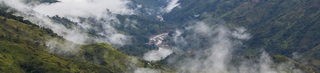 Transectos fluviales Img