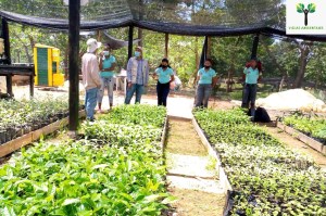 Biovivero Vigías Ambientales