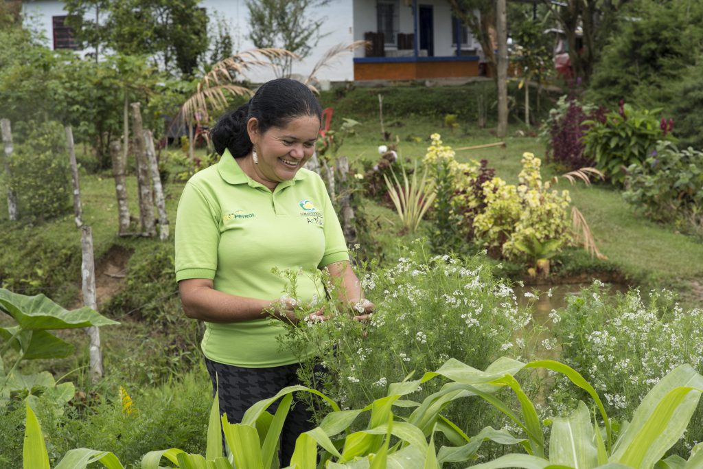 Hogar Ecológico