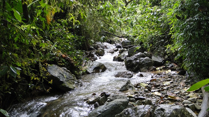 Distrito de Manejo Integrado Divisoria Valle de Aburrá - Río Cauca 