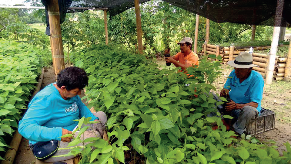 Producción sostenible