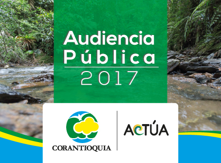 Audiencia pública 2017