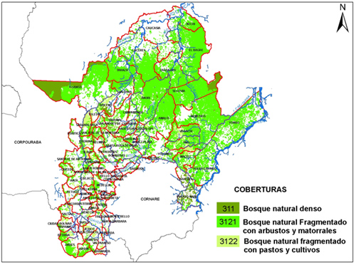 Bosques naturales en la jurisdicción de Corantioquia