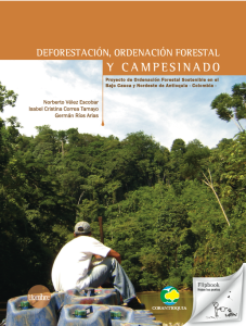 Deforestación, ordenación forestal y campesinado