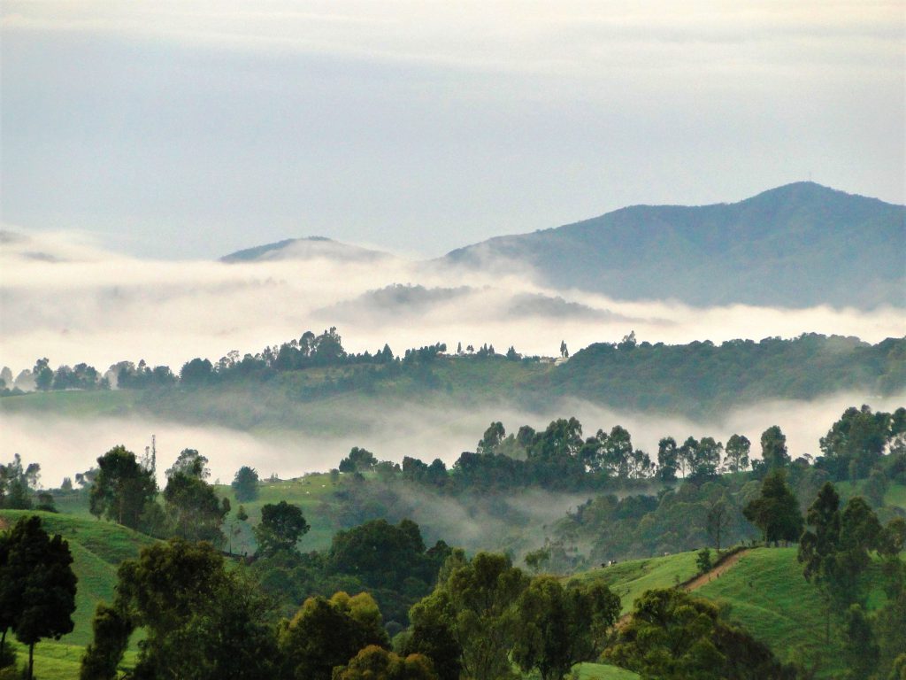 Biodiversidad