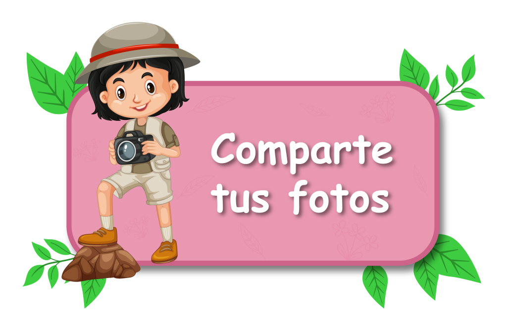 Botón Comparte tus Fotos