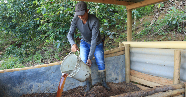 Sabor Sostenible: Corantioquia y Cafeteros Transforman la Producción de Caf