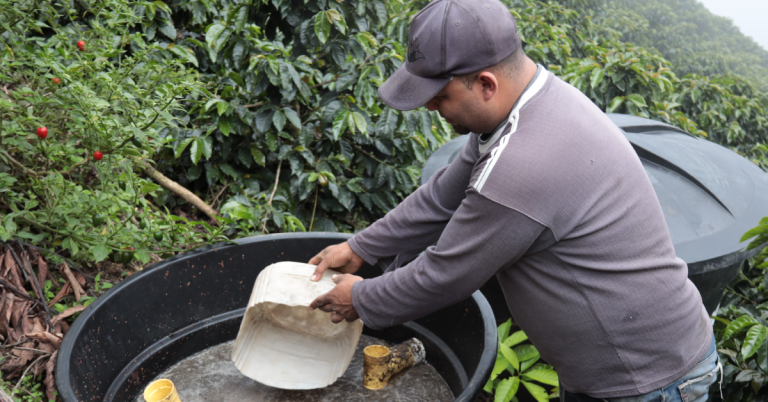 Sabor Sostenible: Corantioquia y Cafeteros Transforman la Producción de Cafe