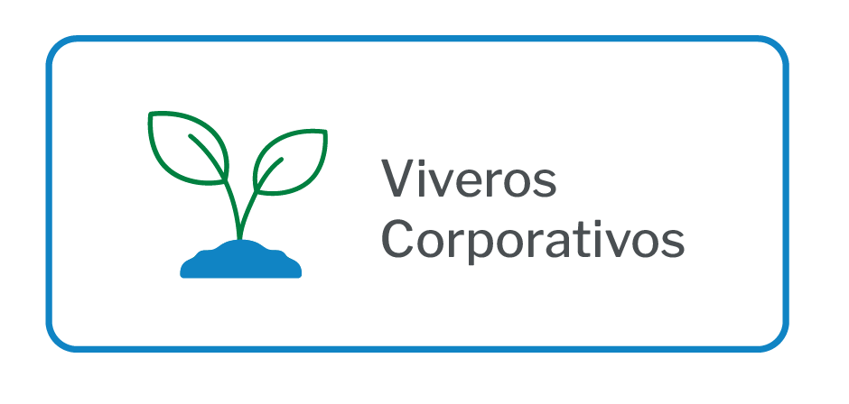 Corantioquia cuenta con dos viveros corporativos