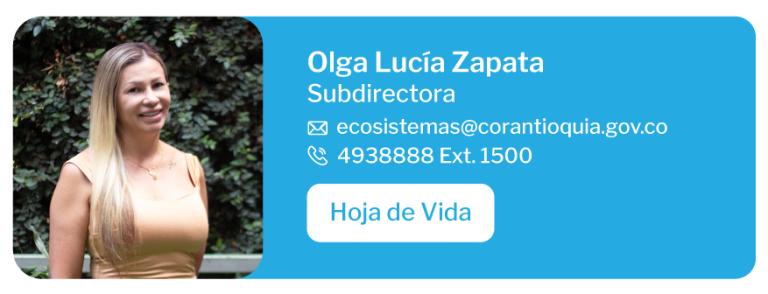 Jefe de oficina Corantioquia