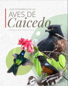 Documento de Guía Fotográfica de las Aves de Caicedo