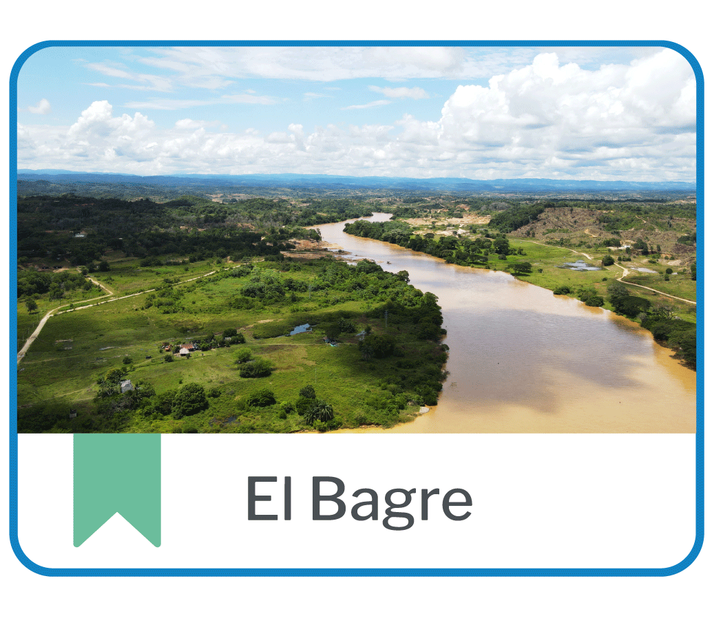 Boton-EL-bagre1 (2)