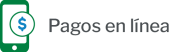 Página para realizar pagos en línea